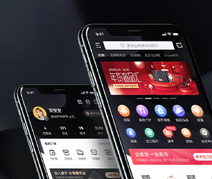 郴州手机网站定制开发短视频电商系统从理念到现实，让您的梦想变成现实【数字化转型，现在购买价格更低】